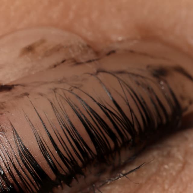 Korean Lash Lift at Artisstry Co. in Churchville, NY